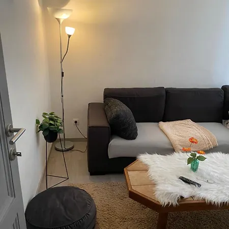 Big Beautiful In Atwerpen-center Apartman Antwerpen